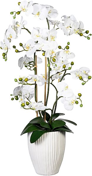 Kunstorchidee Deko-Orchidee Phalaenopsis XL im Keramiktopf günstig online kaufen