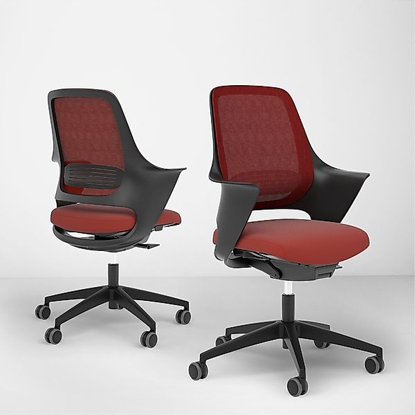 Ergotopia Bürostuhl WellBack ergonomischer Schreibtischstuhl mit günstig online kaufen