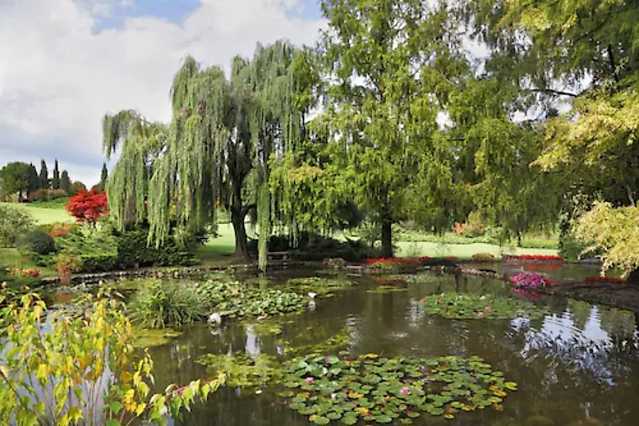 Papermoon Fototapete »Teich mit Bäumen« günstig online kaufen