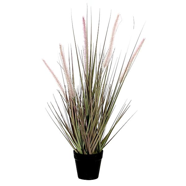 Mica Decorations Kunstpflanze Gras Dogtail im Topf Ø 30 cm x 53 cm Violett günstig online kaufen