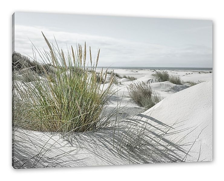 Pixxprint Leinwandbild Grasige Dünenlandschaft am Meer B&W Detail, Grasige günstig online kaufen