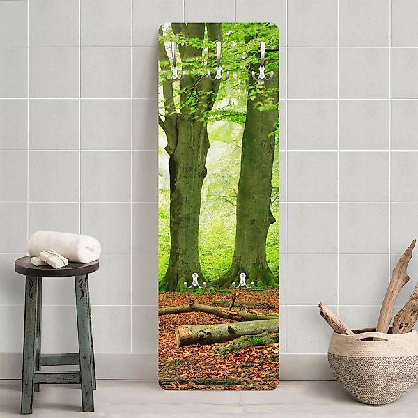 Wandgarderobe Holzpaneel Mighty Beech Trees günstig online kaufen