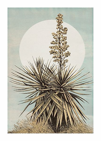 Komar Bild "Plans de Lagon" Natur 1 Stk. tlg. Wandbild zur Dekoration - ohn günstig online kaufen