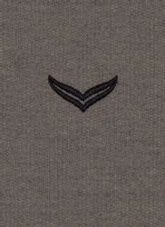 Trigema Jogginganzug TRIGEMA Jogginganzug (1-tlg) günstig online kaufen