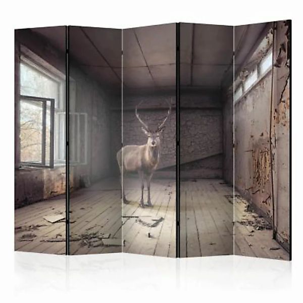 artgeist Paravent Lost II [Room Dividers] grau-kombi Gr. 225 x 172 günstig online kaufen