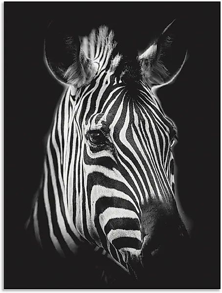Artland Wandbild »Zebra« Zebra Bilder 1 Stk. tlg. als Alubild, Outdoorbild, günstig online kaufen