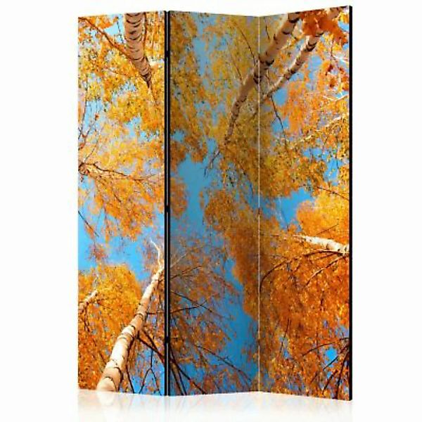 artgeist Paravent Autumnal treetops [Room Dividers] mehrfarbig Gr. 135 x 17 günstig online kaufen