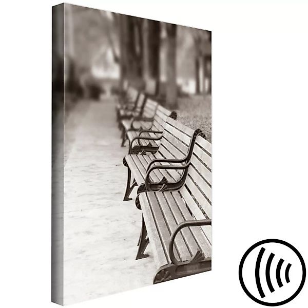 Bild auf Leinwand Park Benches (1 Part) Vertical XXL günstig online kaufen