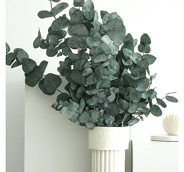 Trockenblume Eukalyptus, LYKKE & You günstig online kaufen