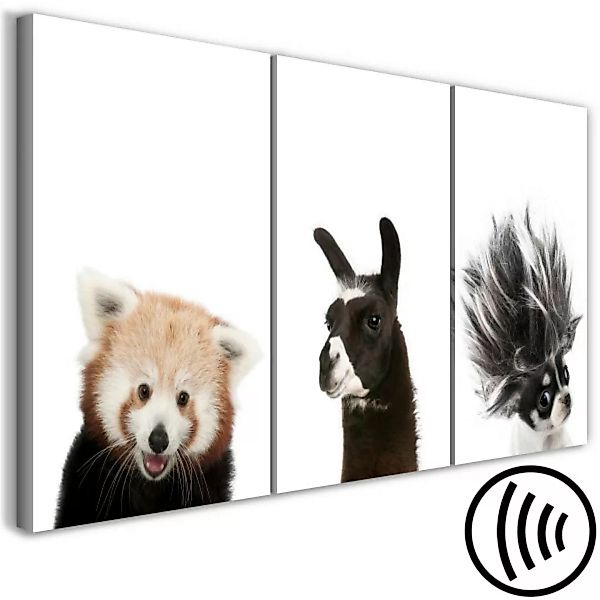 Leinwandbild Friendly Animals (Collection) XXL günstig online kaufen
