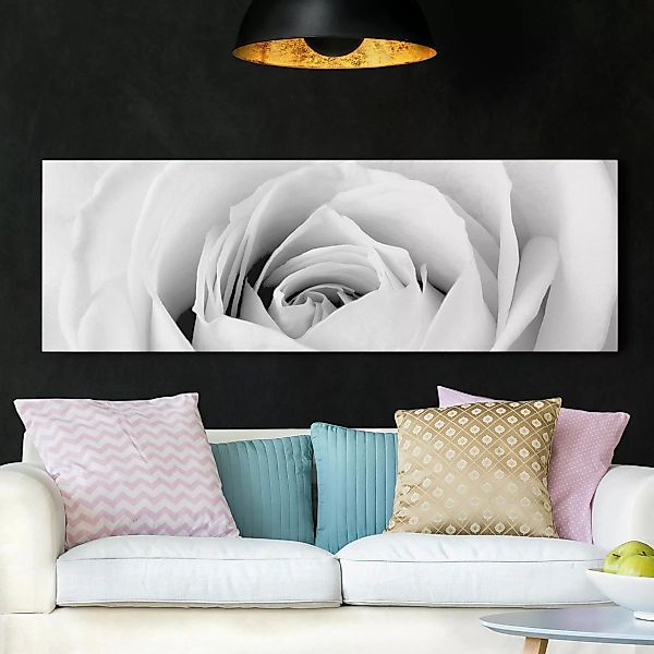 Leinwandbild - Panorama Close Up Rose günstig online kaufen