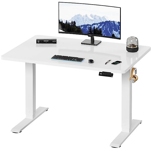 HOMALL Schreibtisch Höhenverstellbar elektrischer Memory-Funktion 100/120/1 günstig online kaufen