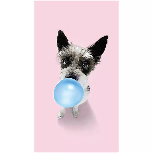 Pro Art Dekopanel Hund Chewing Gum 30 cm x 15 cm günstig online kaufen