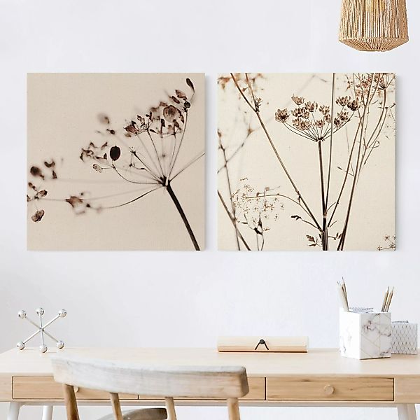 Leinwandbild 2-teilig Trockenblumen Set günstig online kaufen
