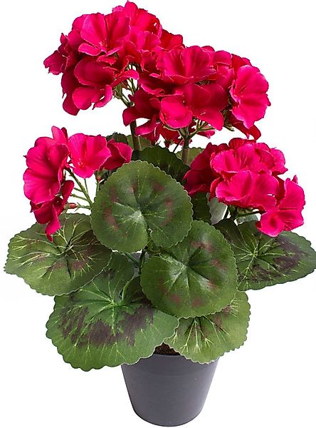 Kunstblume Geranienbusch mit 6 Blütenköpfen, Botanic-Haus, günstig online kaufen