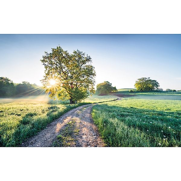 Komar Fototapete Vlies A New Day in Paradise  400 x 250 cm günstig online kaufen