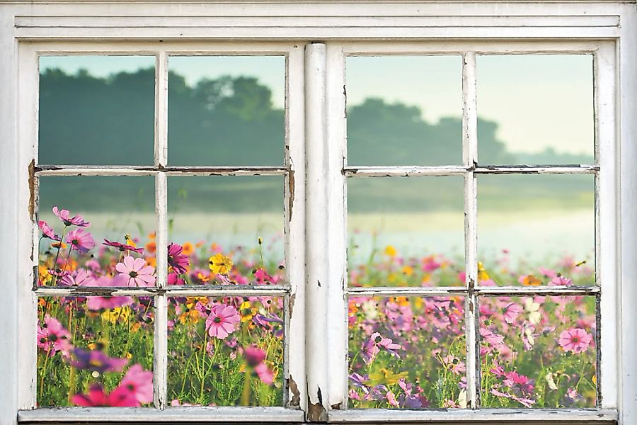 queence Leinwandbild "Blumenwiese" Blumenwiese  Fensterblick  Natur  Wiesen günstig online kaufen
