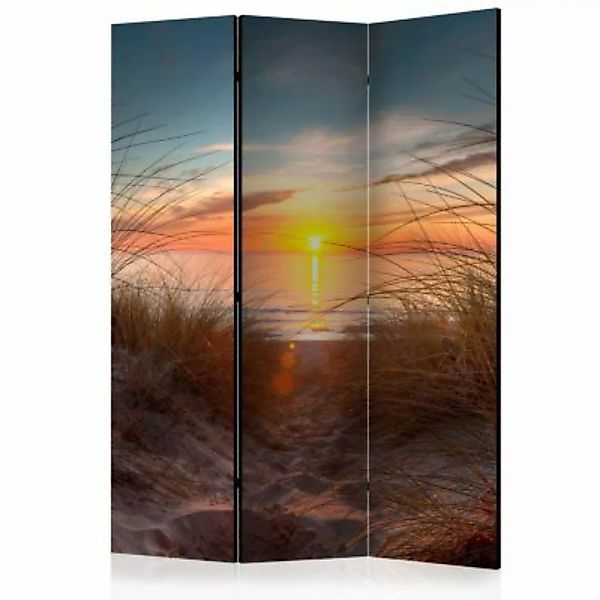 artgeist Paravent Sunset over the Atlantic Ocean [Room Dividers] mehrfarbig günstig online kaufen