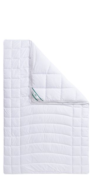 fan Microfaserbettdecke "Warmmax" 4-Jahreszeiten 1 Stk. tlg. kuscheliges Sc günstig online kaufen