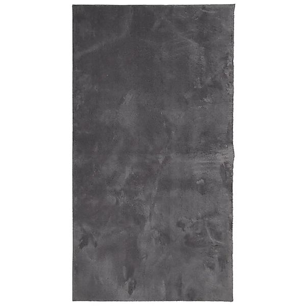 vidaXL Teppich HUARTE Kurzflor Weich und Waschbar Anthrazit 80x150 cm 37499 günstig online kaufen