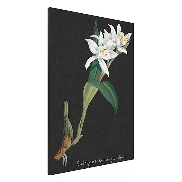 Magnettafel Blumen - Hochformat 2:3 Weiße Orchidee auf Leinen II günstig online kaufen