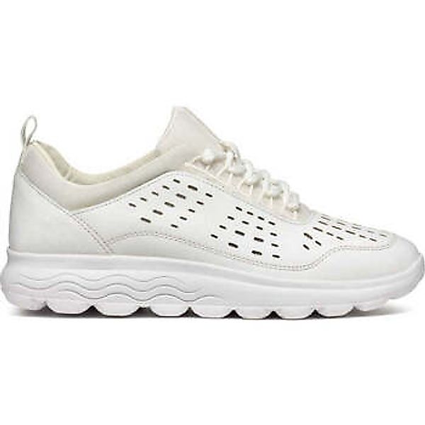 Geox  Sneaker - günstig online kaufen
