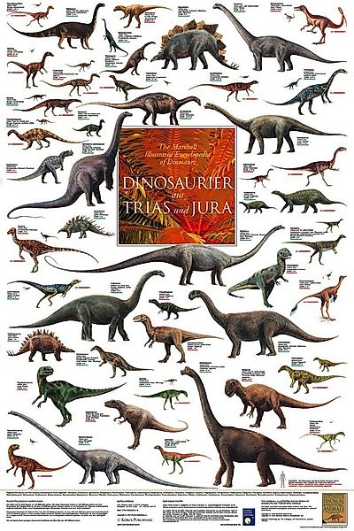 Close Up Poster Dinosaurier aus Trias und Jura Poster laminiert 60 x 90 cm günstig online kaufen