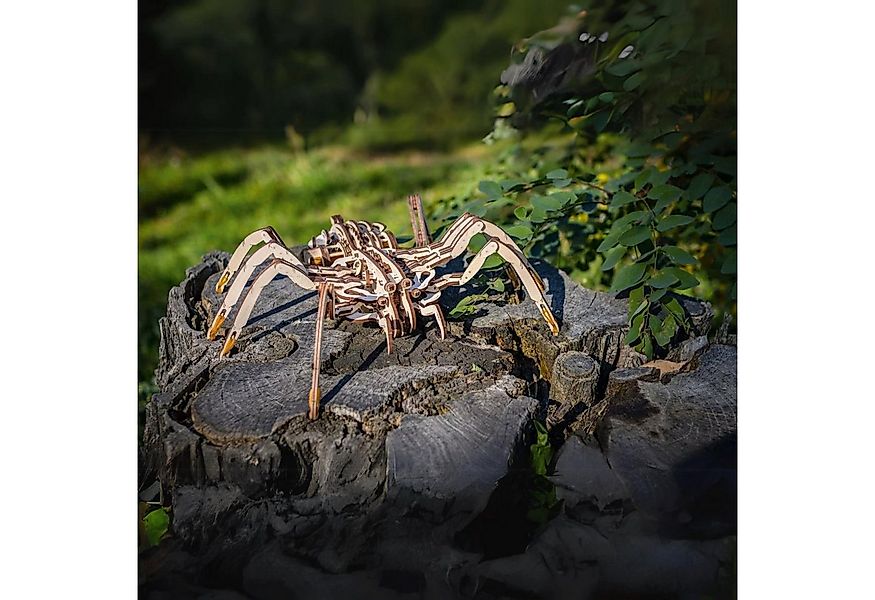 Eco Wood Art Modellbausatz Eco-Wood-Art Spinne Mechanisch Mechanisches Holz günstig online kaufen