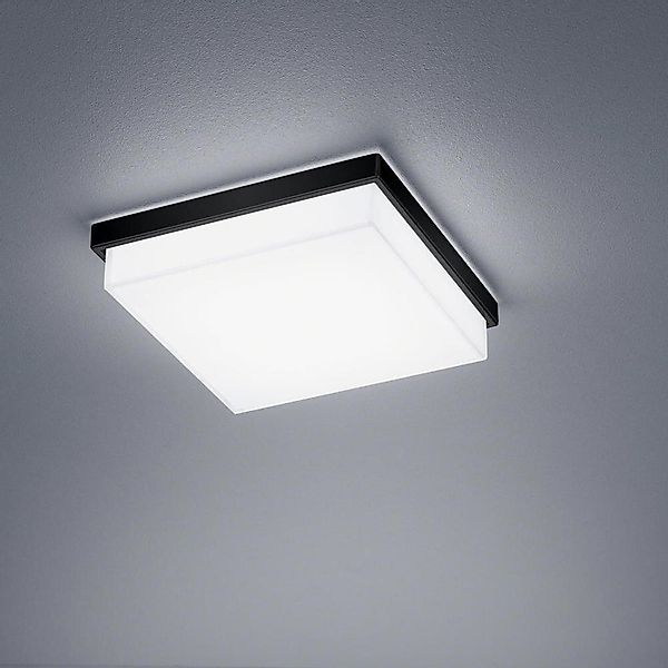 LED Deckenleuchte Cosi in Schwarz-matt 12W 1020lm günstig online kaufen