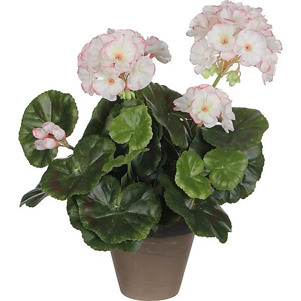 Mica Decorations Kunstpflanze Geranie im Blumentopf Stan Ø 20 x 34 cm Weiß- günstig online kaufen
