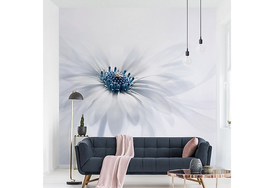 Bilderdepot24 Fototapete Blumen Gänseblümchen Blau Blumentapete Floral Natu günstig online kaufen