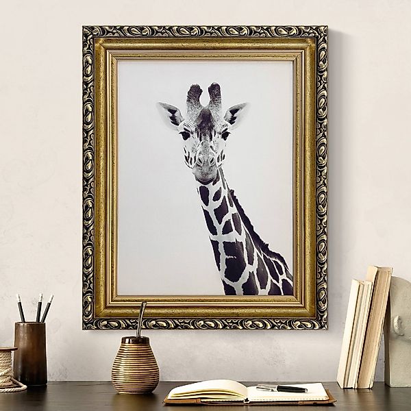 Gerahmtes Leinwandbild Giraffen Portrait in Schwarz-weiß günstig online kaufen