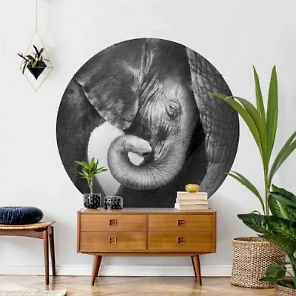 Bilderwelten Runde Tapete selbstklebend Kinderzimmer Mutterliebe grau Gr. 2 günstig online kaufen