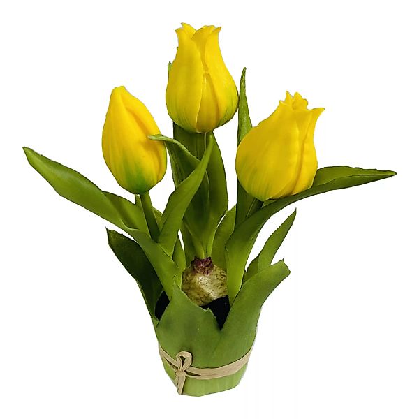 Tulpe im Blatttopf ca. 20cm, gelb günstig online kaufen