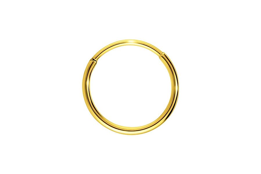 PIERCINGLINE Nasenpiercing Titan Segmentring Clicker Ohrpiercing Septum Nas günstig online kaufen