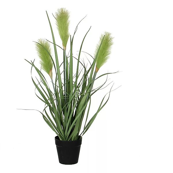 Kunstpflanze Ried Gras Grün Topf-Ø 10 cm H 53 cm, Ø: 30 cm günstig online kaufen