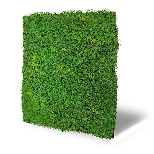 JANGAL Wandpaneel Wandpaneel Jangal Modular Wall günstig online kaufen