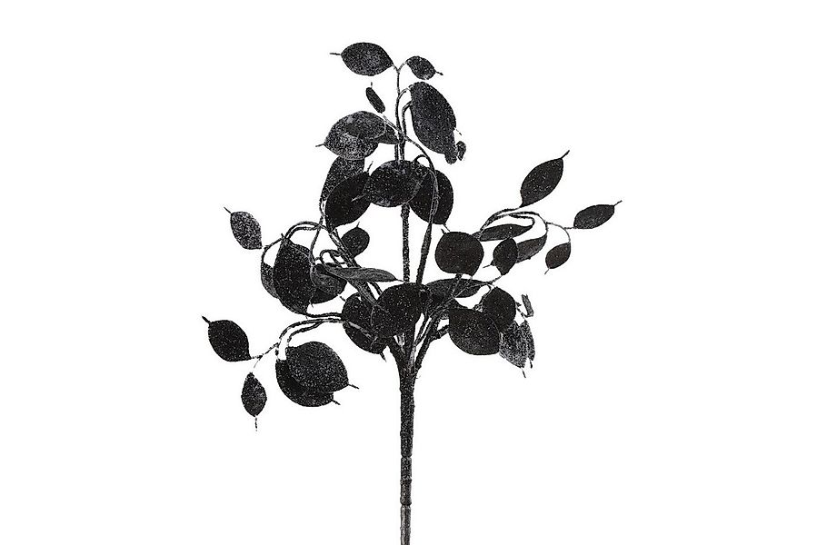 Kunstzweig Dekozweig Lunaria schwarz 40cm, Decostar günstig online kaufen