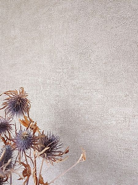Newroom Vliestapete, Beige Tapete Uni Einfarbig günstig online kaufen
