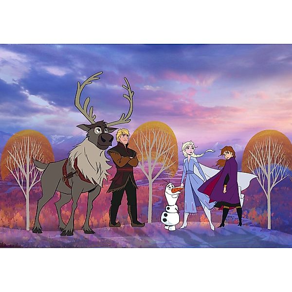 Disney Fototapete Die Eiskönigin Lila und Orange 400 x 280 cm 610075 günstig online kaufen