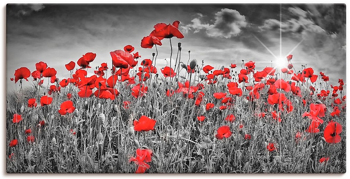 Artland Wandbild "Idyllisches Mohnblumenfeld mit Sonne" Blumen 1 Stk. tlg. günstig online kaufen