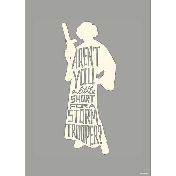 Komar Wandbild Star Wars Leia 50 x 70 cm gerollt günstig online kaufen
