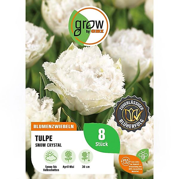 GROW by OBI Tulpe Snow Crystal Satin-Weiß 8 Stück Tulipa fringed Snow Cryst günstig online kaufen