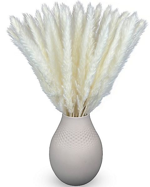 Trockenblume Trockenblume Pampasgras Deko weiß 45cm lang Trockenblumen, Nin günstig online kaufen