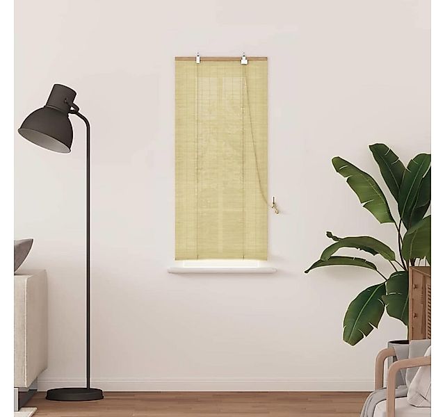 Rollo Rollo mit Vorhängen Natur 60 x 160 cm Bambus, vidaXL günstig online kaufen