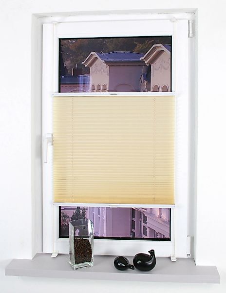 Liedeco Plissee "Klemmfix" Lichtschutz ohne Bohren verspannt günstig online kaufen