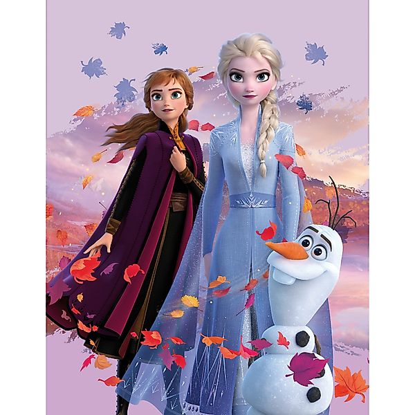 BERONAGE Kinderteppich Frozen Die Eiskönigin Dreamteam günstig online kaufen