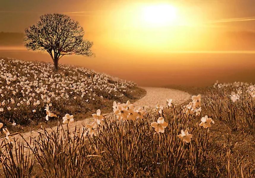 Papermoon Fototapete »Magische Landschaft« günstig online kaufen