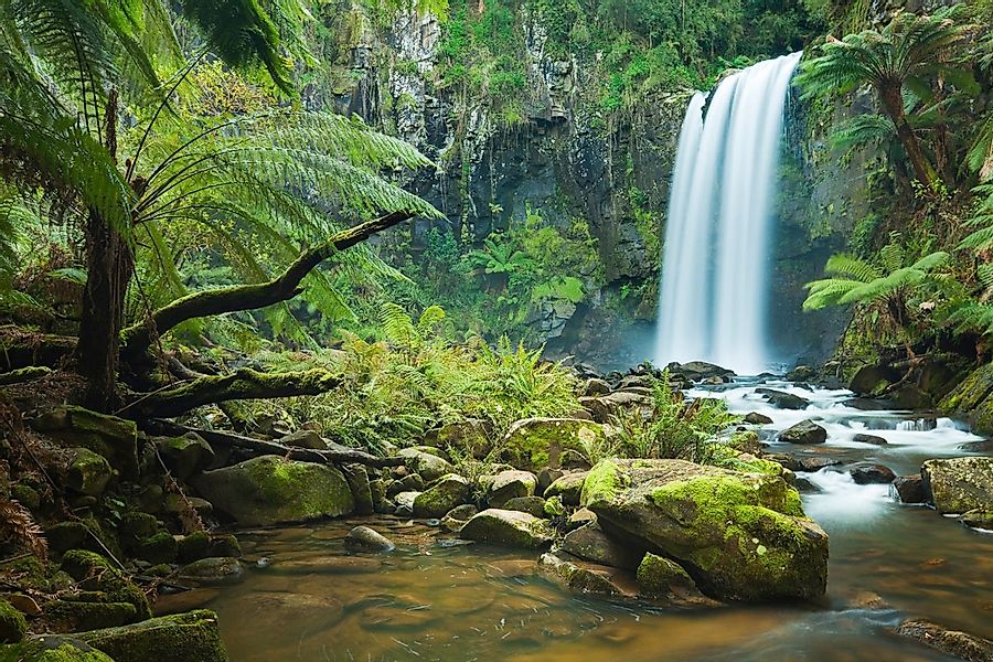 Papermoon Fototapete »Wasserfall im Wald« günstig online kaufen