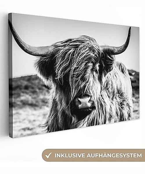 OneMillionCanvasses® Leinwandbild Schottischer Highlander - Natur - Kuh - S günstig online kaufen